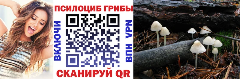Псилоцибиновые грибы Magic Shrooms  купить   Вязьма 